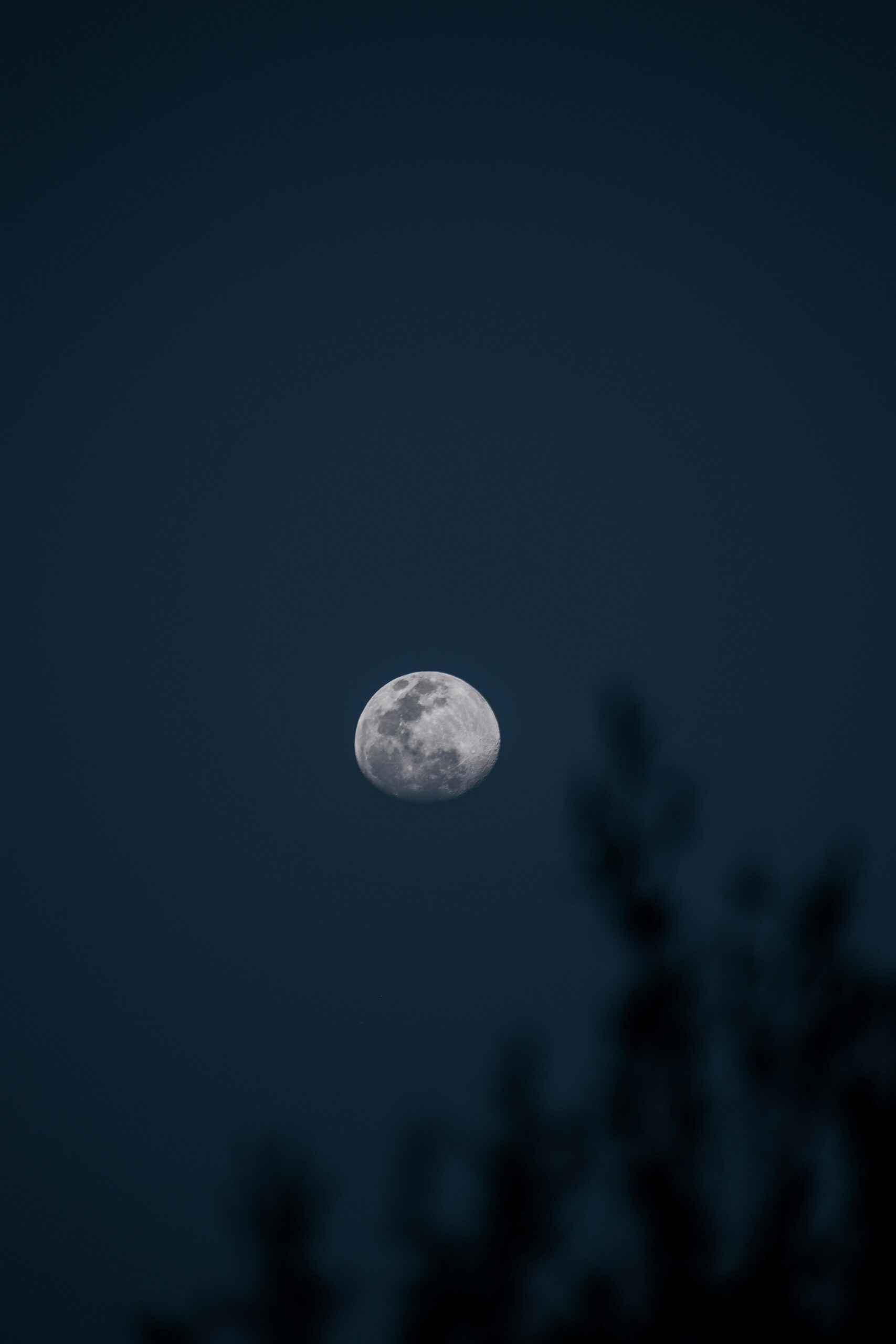 Luna