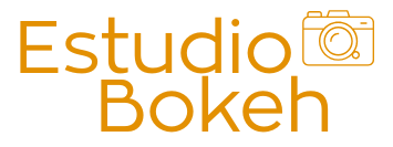 LogoEstudioBokeh